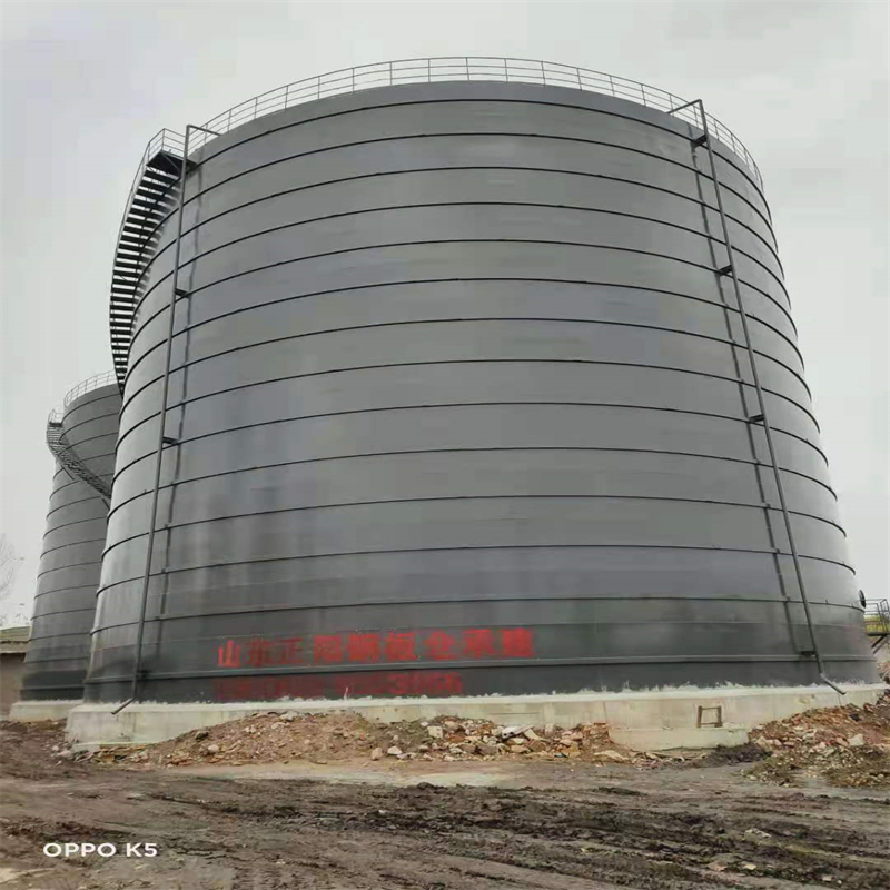 应城3万吨大型钢板库